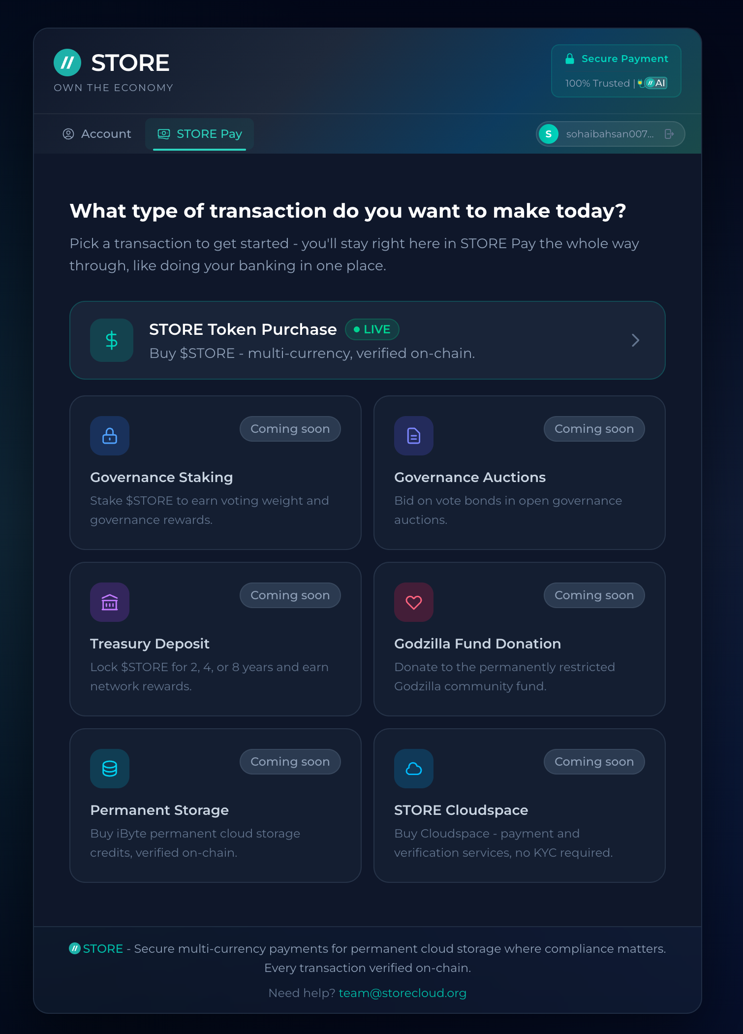STORE Pay Hub - choose a transaction type
